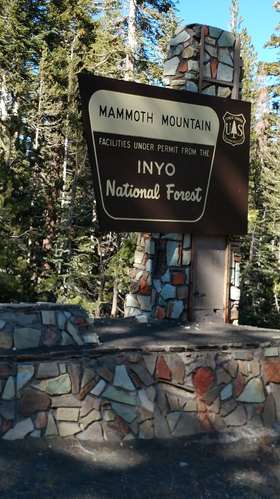 nectalicarrillos.com