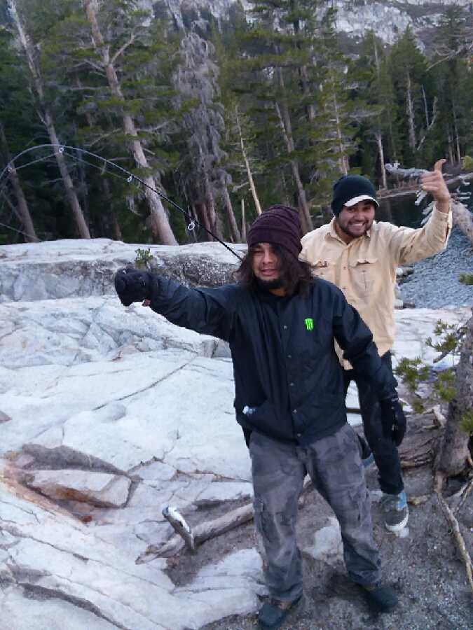 nectalicarrillos.com