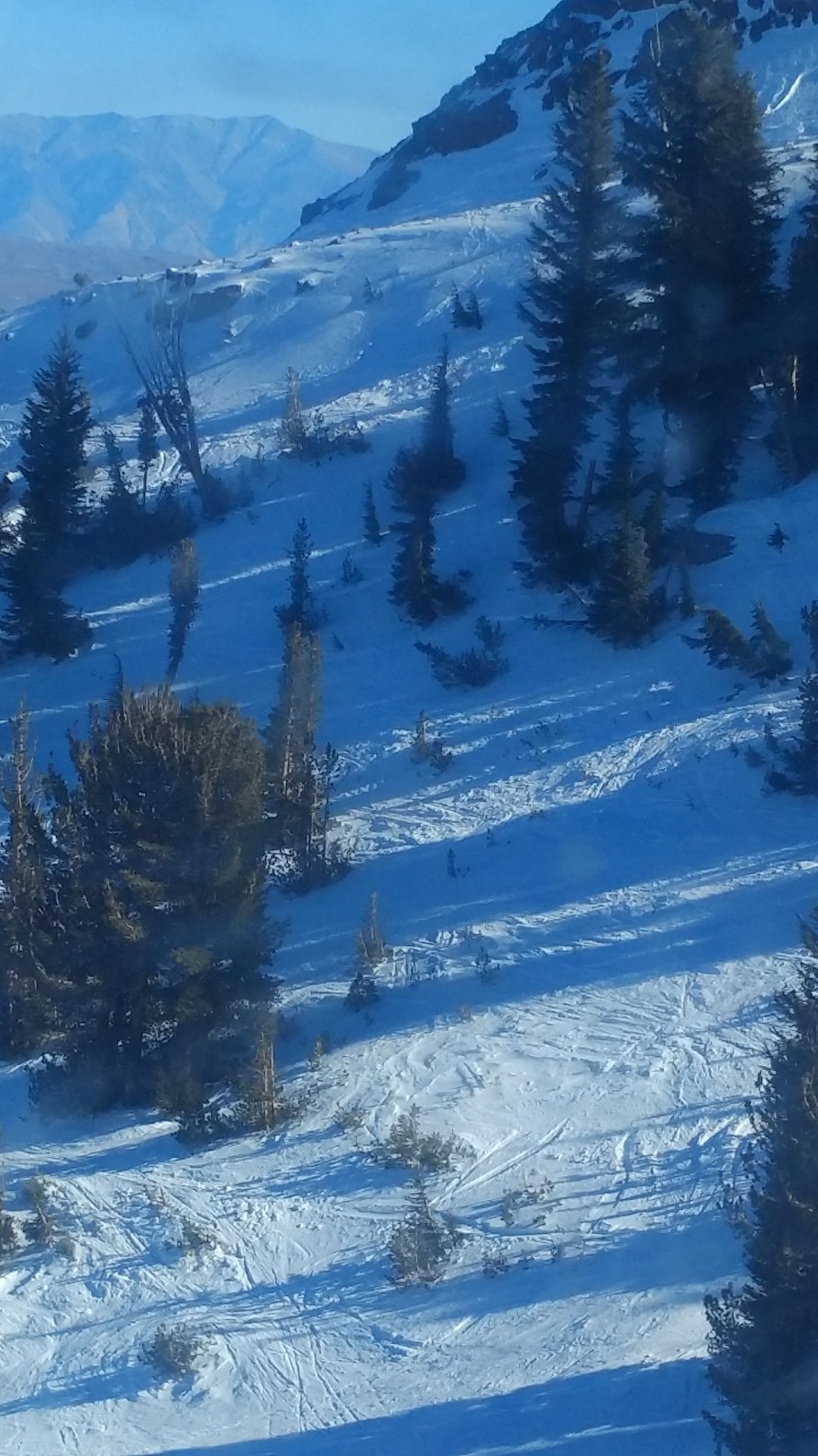 nectalicarrillos.com