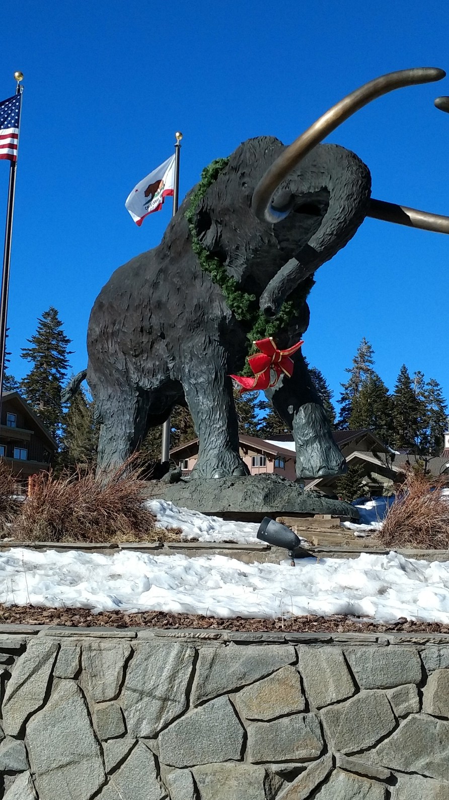 nectalicarrillos.com