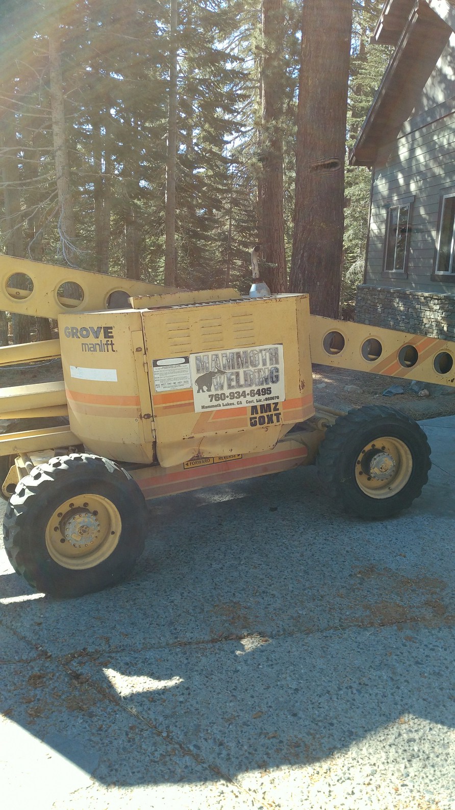 nectalicarrillos.com