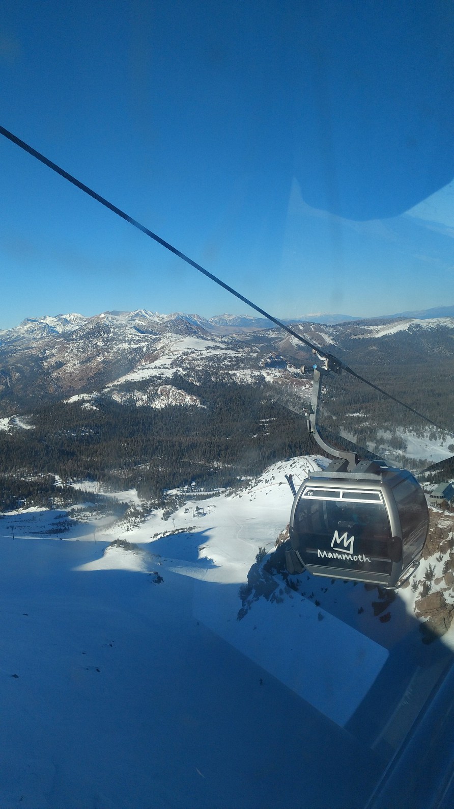 nectalicarrillos.com