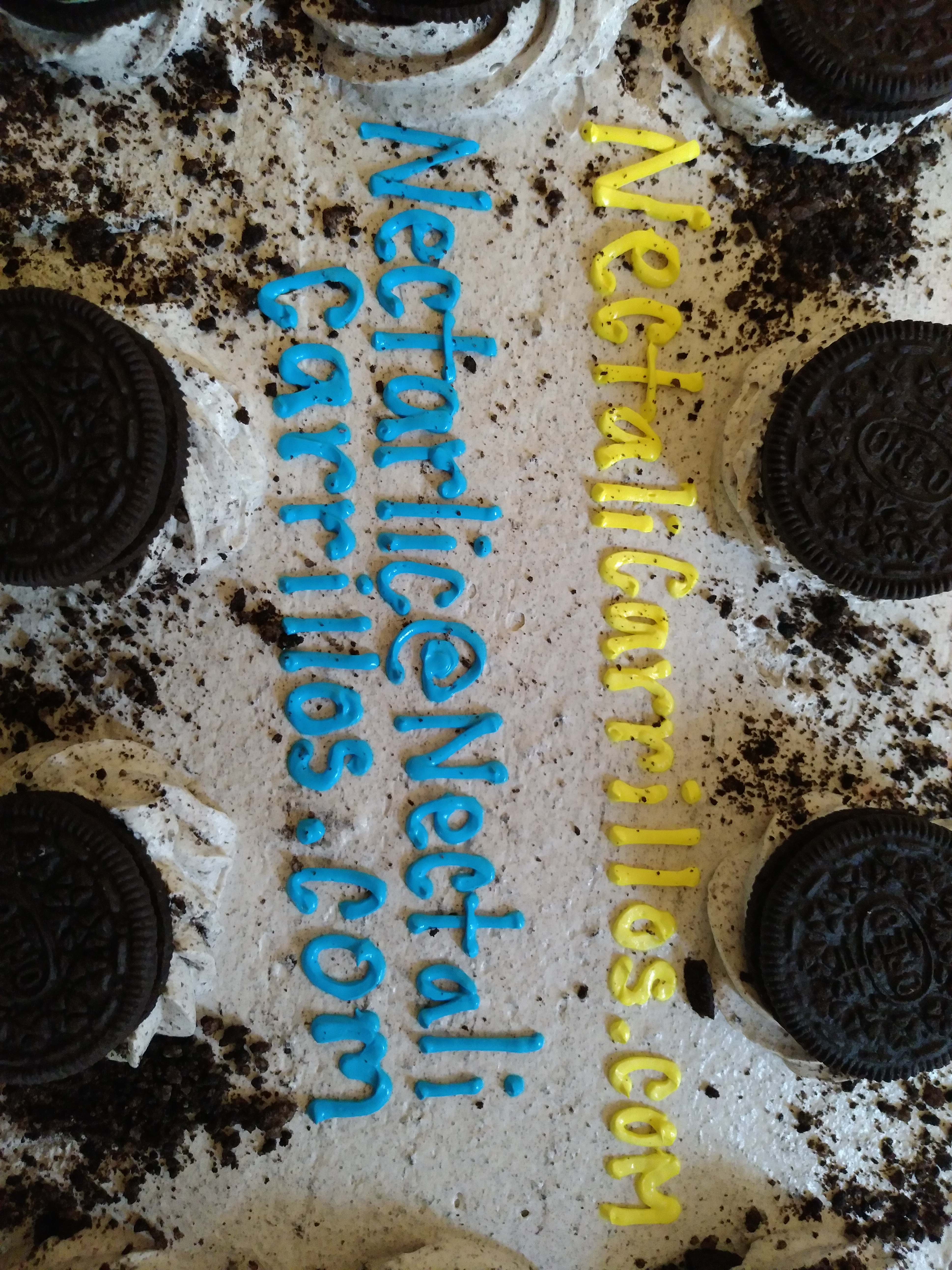 nectalicarrillos.com